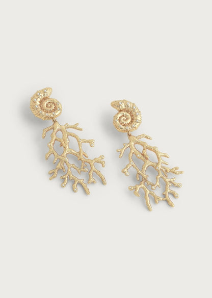 Shell with Coral Drop Earrings