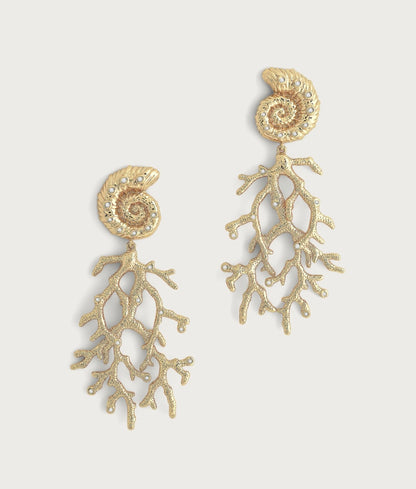 Shell with Coral Drop Earrings