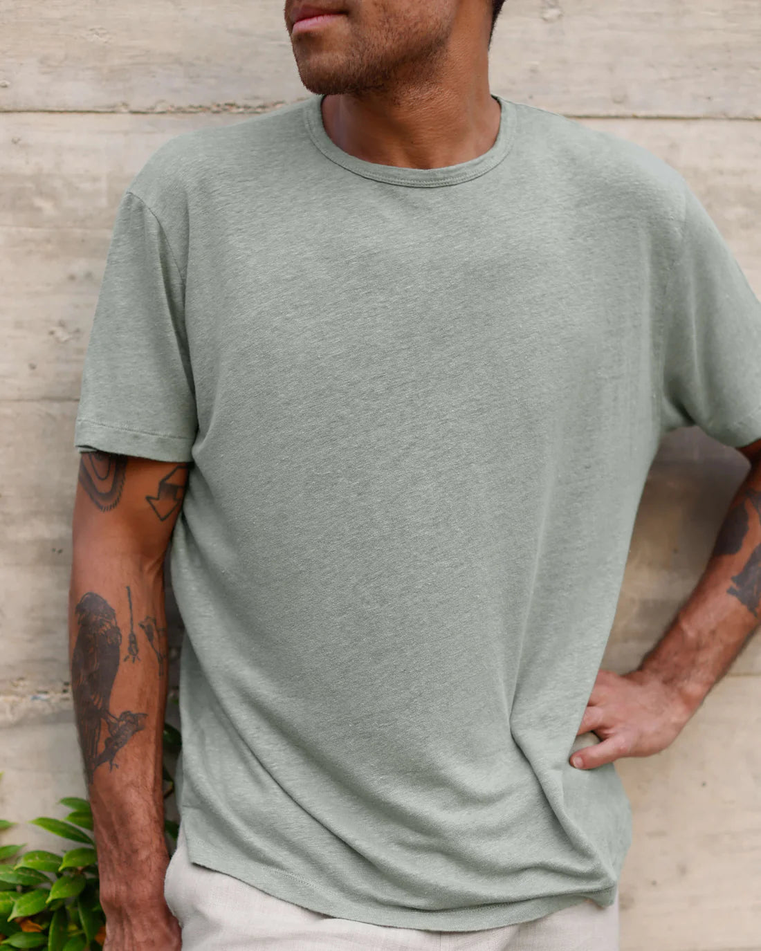 Sun Tee Moss