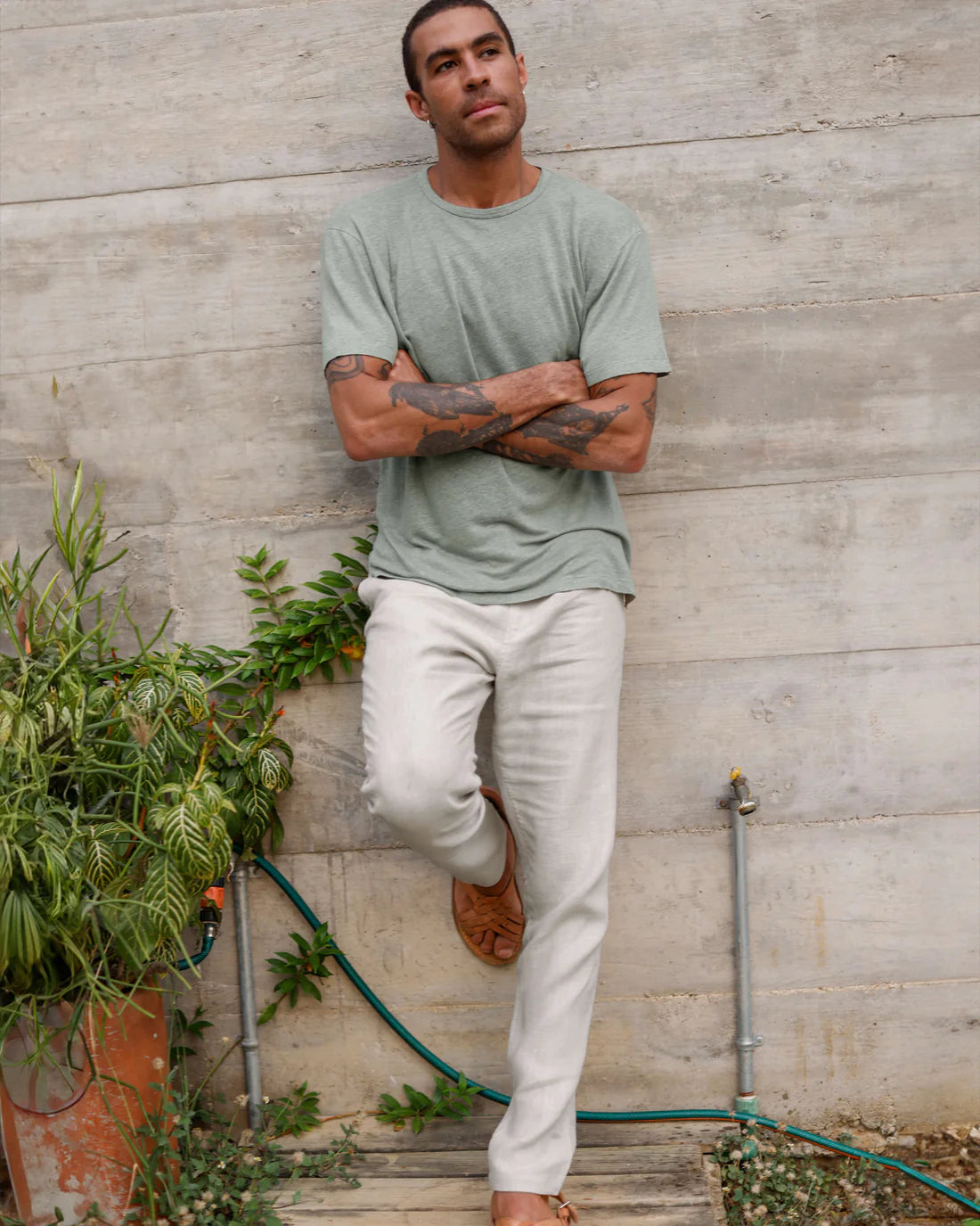 Sun Tee Moss