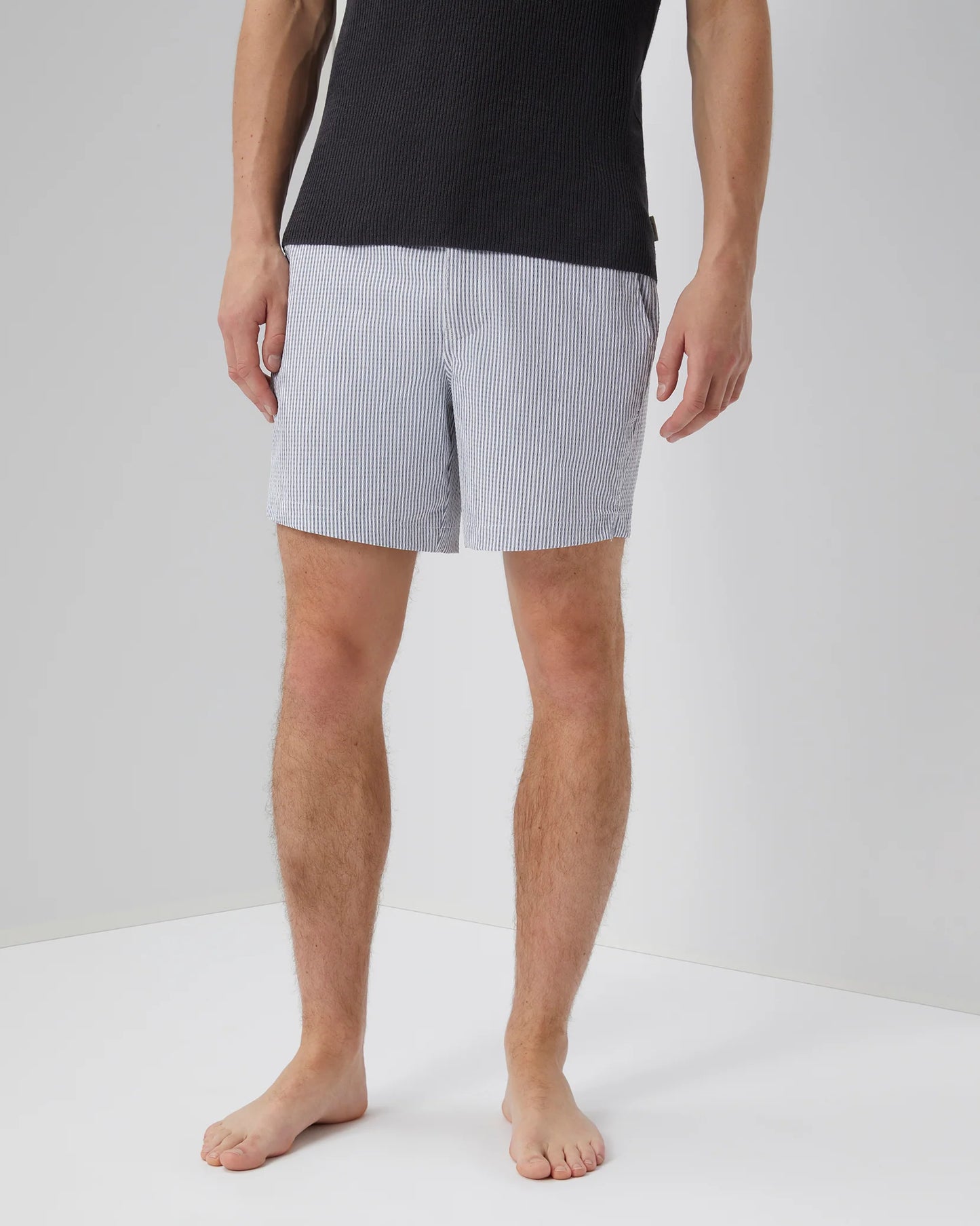 Charles Swim Trunk Stripes