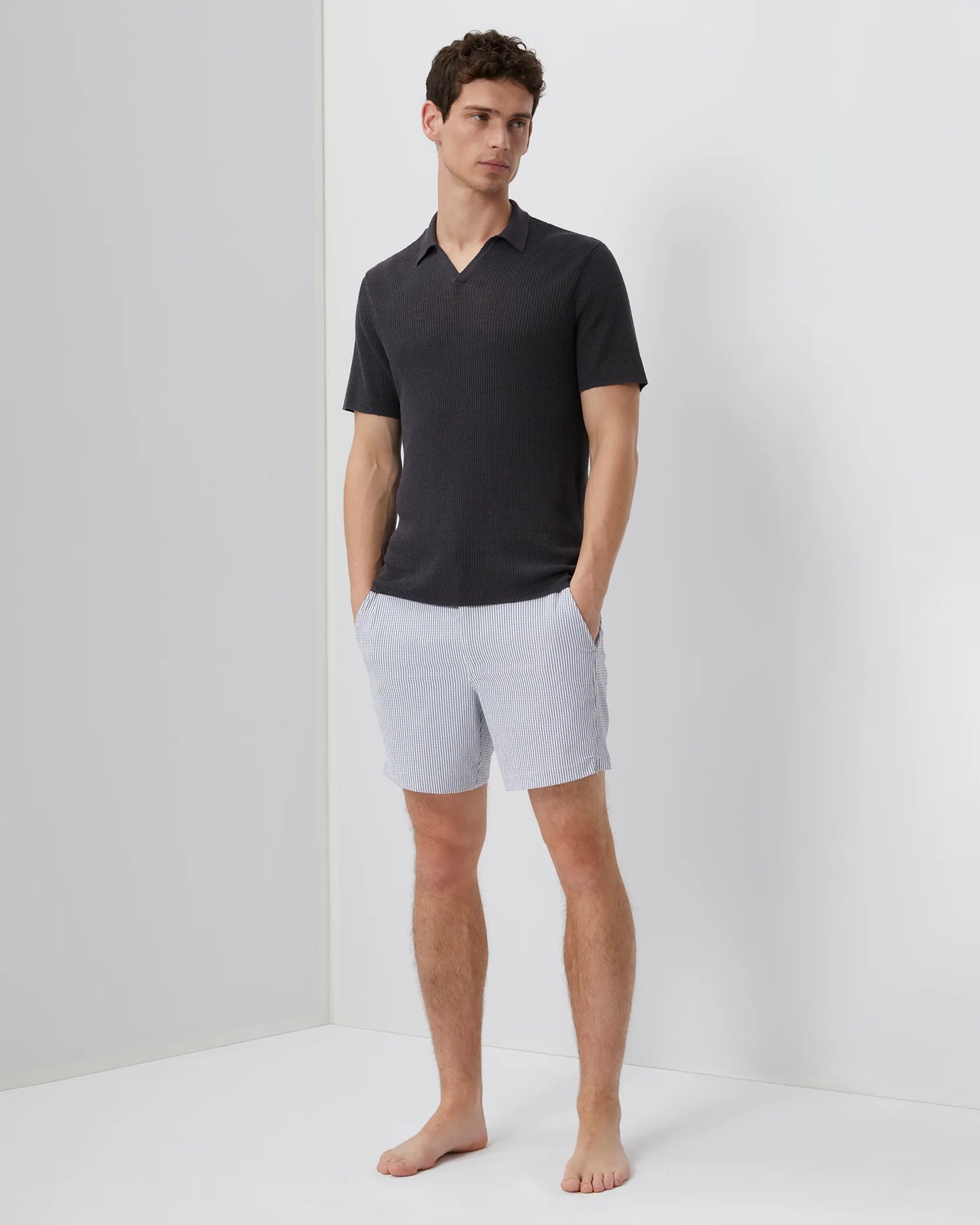 Charles Swim Trunk Stripes
